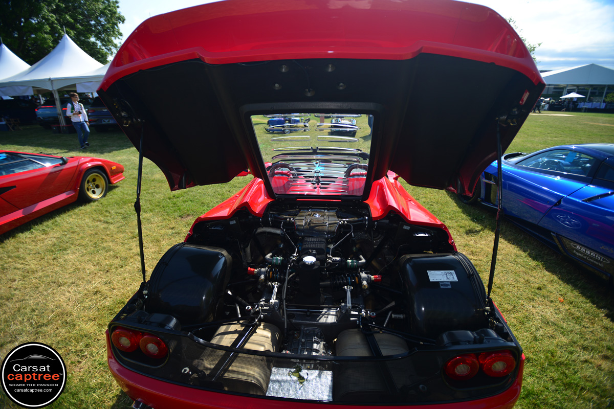 D8E_1833 copy.jpg